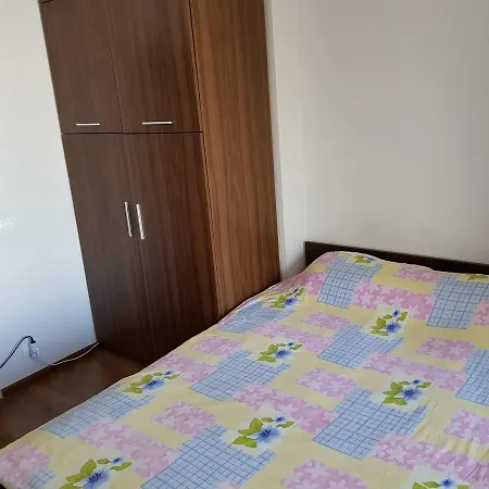 Coral 2 Mamaia